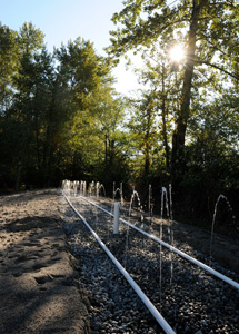 Septic Field - Langley